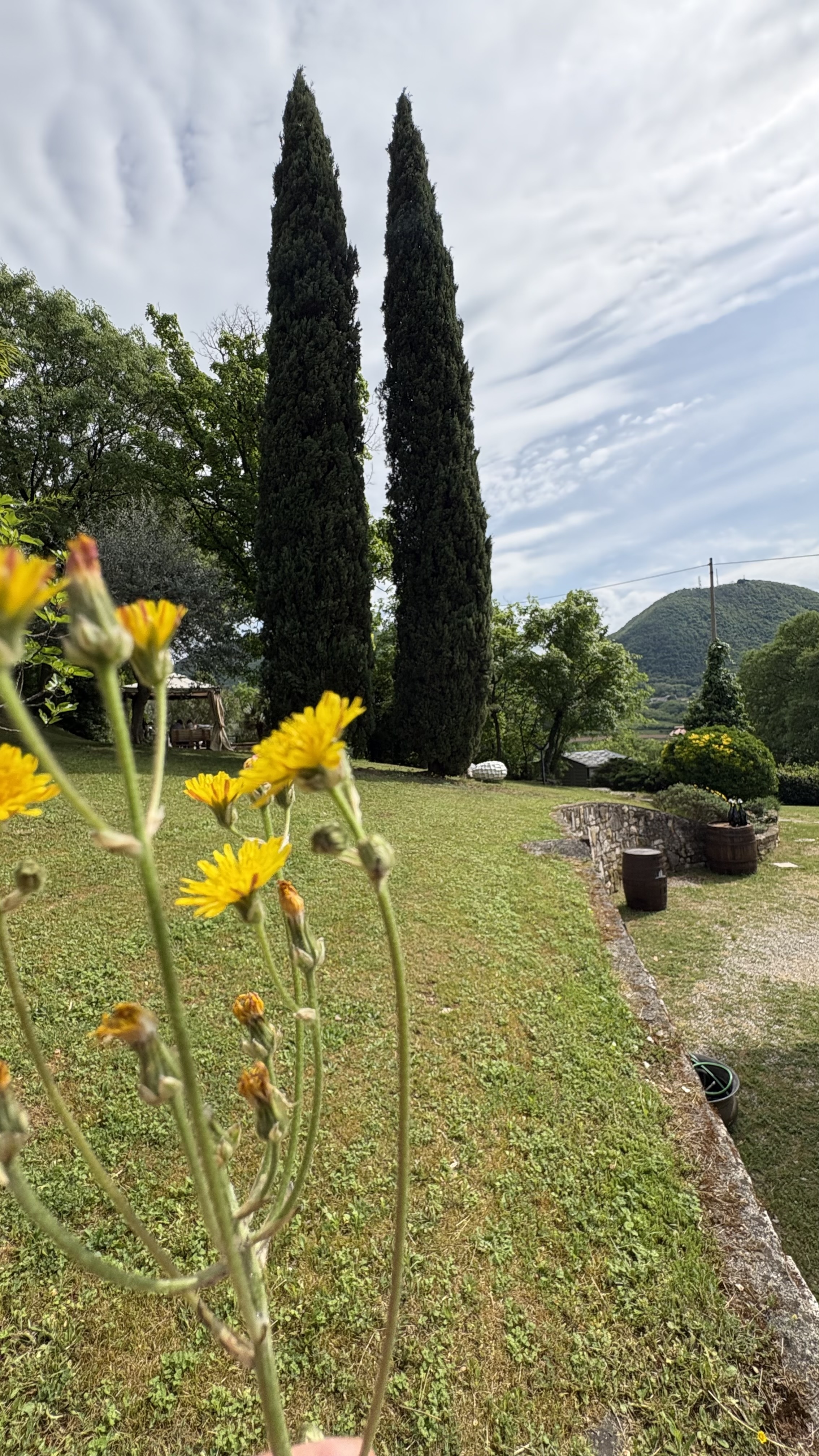 Terrazza della villa
